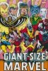 GIANT-SIZE MARVEL OMNIBUS HC [STANDARD] [9781302963880]